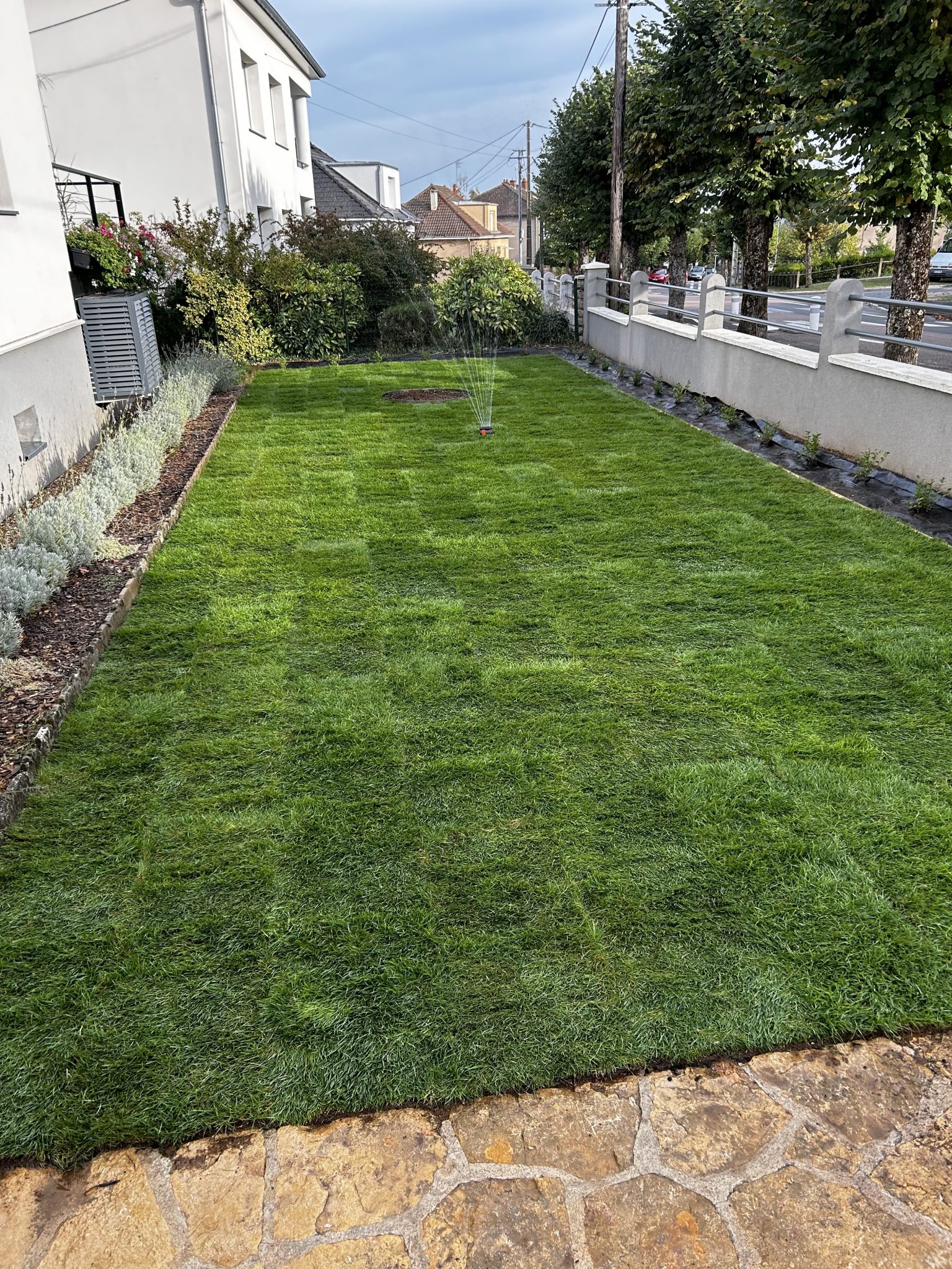 Gazon en rouleaux posé à Torcy 65 m2 Département Nièvre Les