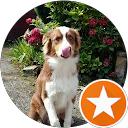 Fabrice Beuve Fabrice Beuve